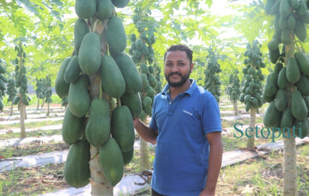 भरतपुर महानगरपालिका–१८, गुञ्जनगरस्थित मेवाबारीमा सुसनसिंह केसी। तस्बिर: राजेश घिमिरे/सेतोपाटी